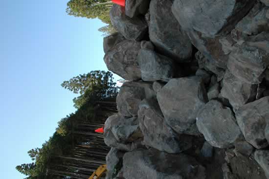 2007-10-21 å ȥ꡼ 2 62