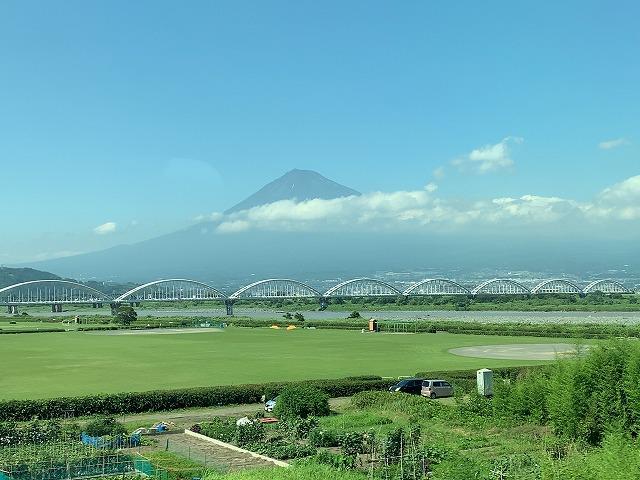 夏の多忙時期到来か!?